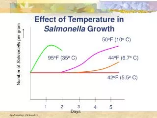 Effect of Temperature in Salmonella Growth