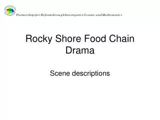 Rocky Shore Food Chain Drama
