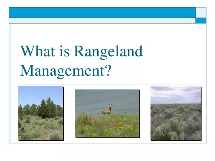 what is rangeland management