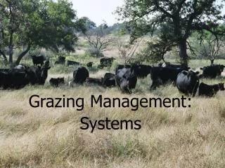 Grazing Management: Systems