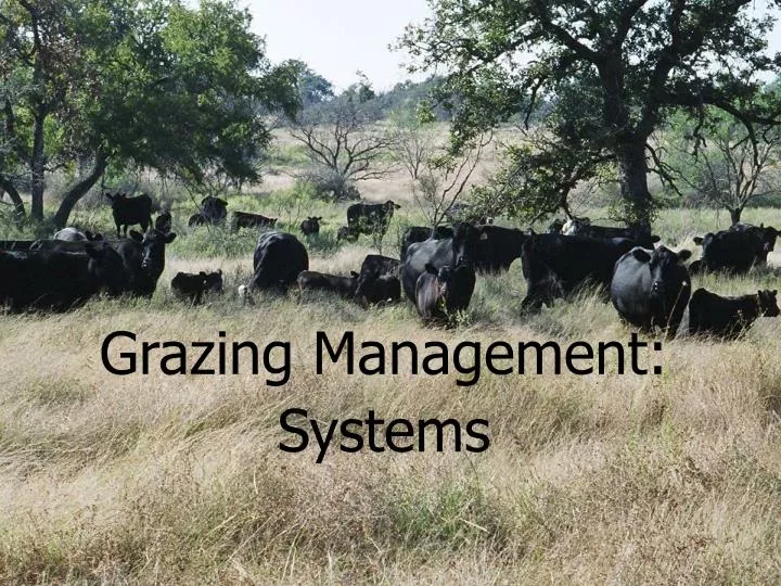 grazing management systems