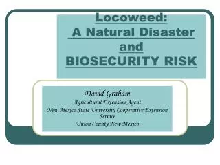 Locoweed: A Natural Disaster and BIOSECURITY RISK