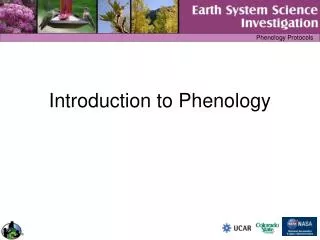 Introduction to Phenology