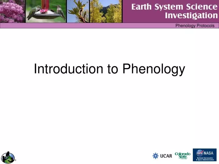 introduction to phenology