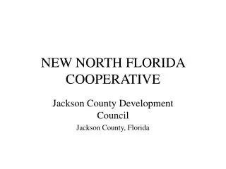 NEW NORTH FLORIDA COOPERATIVE