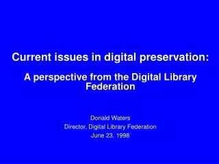 Current issues in digital preservation: A perspective from the Digital Library Federation