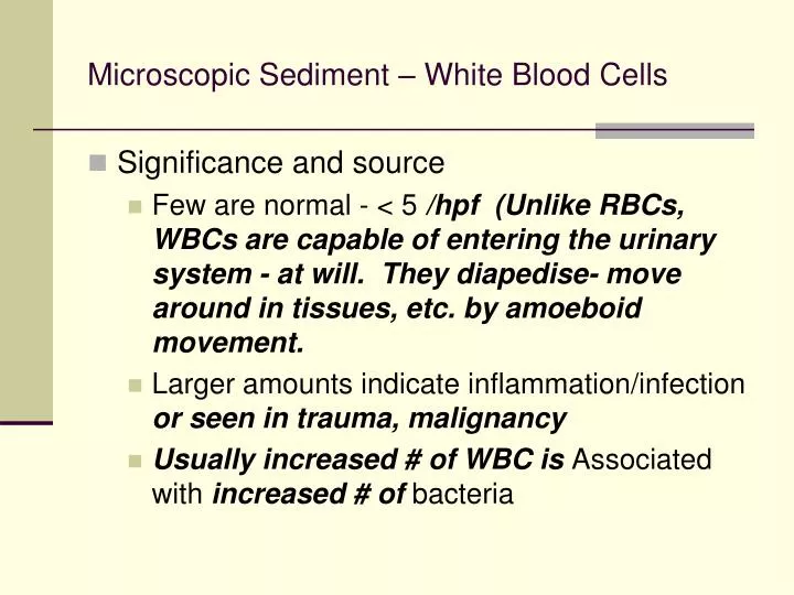 microscopic sediment white blood cells