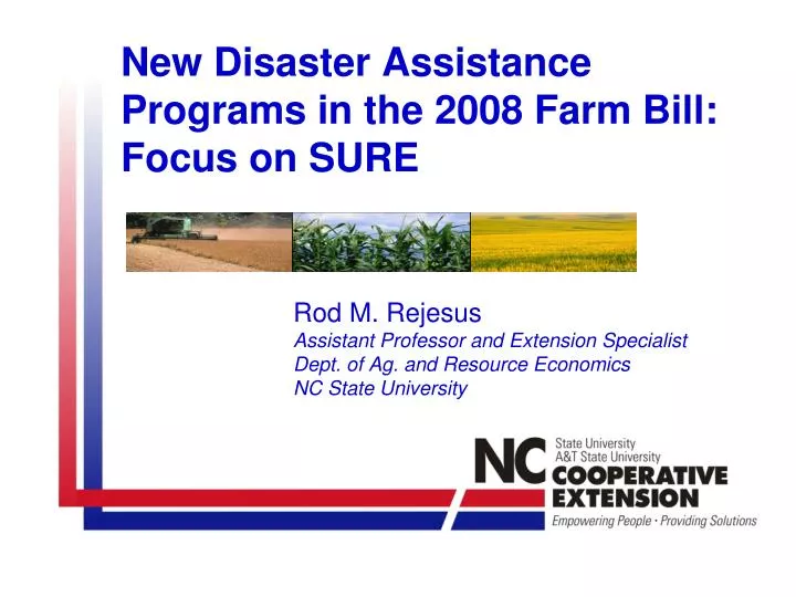new disaster assistance programs in the 2008 farm bill focus on sure