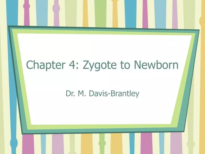 chapter 4 zygote to newborn