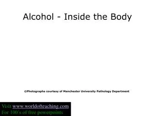 Alcohol - Inside the Body