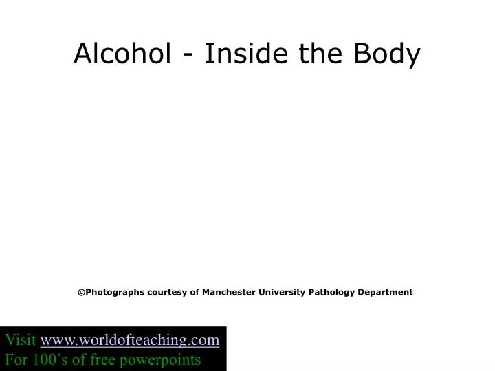 alcohol inside the body