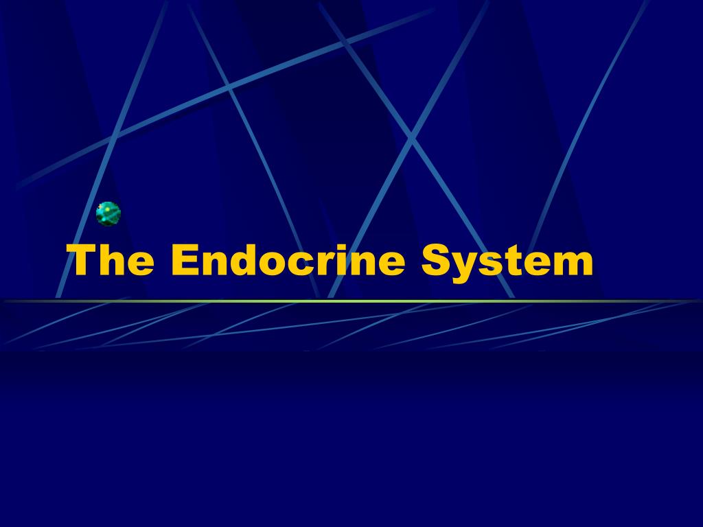 PPT - The Endocrine System PowerPoint Presentation, free download - ID ...