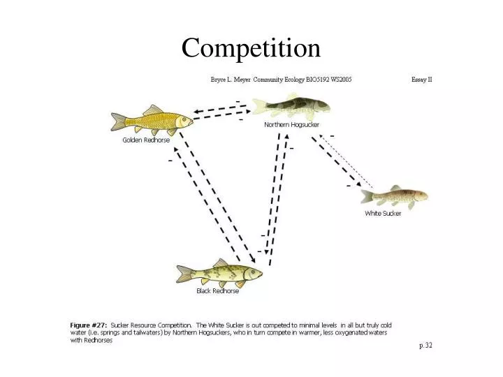 competition