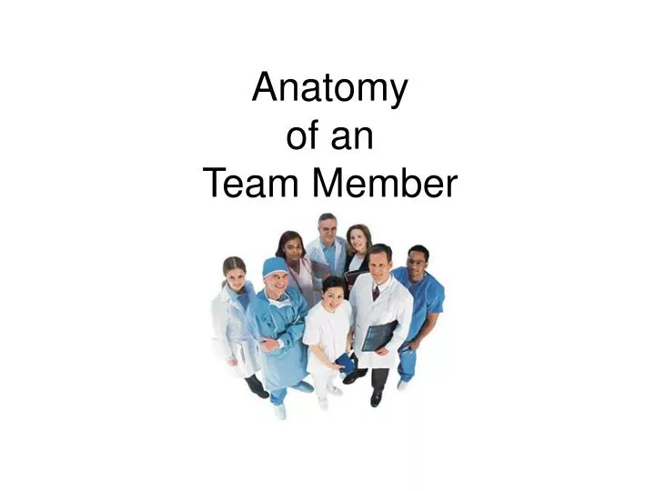 anatomy of an team member