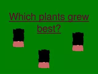 Which plants grew best?
