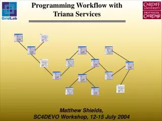Programming Workflow with Triana Services