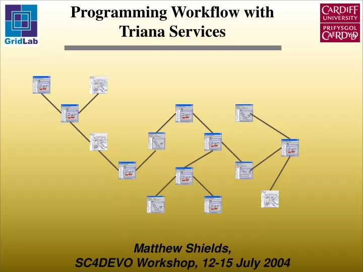 programming workflow with triana services