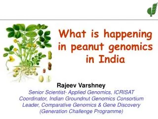What is happening in peanut genomics in India