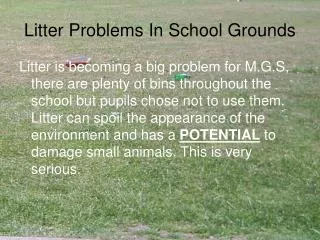 Litter Problems In School Grounds