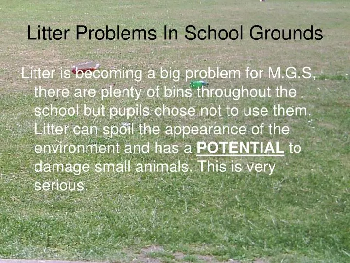 litter problems in school grounds