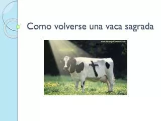 como volverse una vaca sagrada