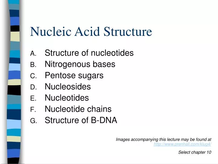 nucleic acid structure