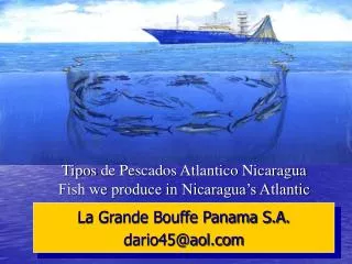 Tipos de Pescados Atlantico Nicaragua Fish we produce in Nicaragua’s Atlantic
