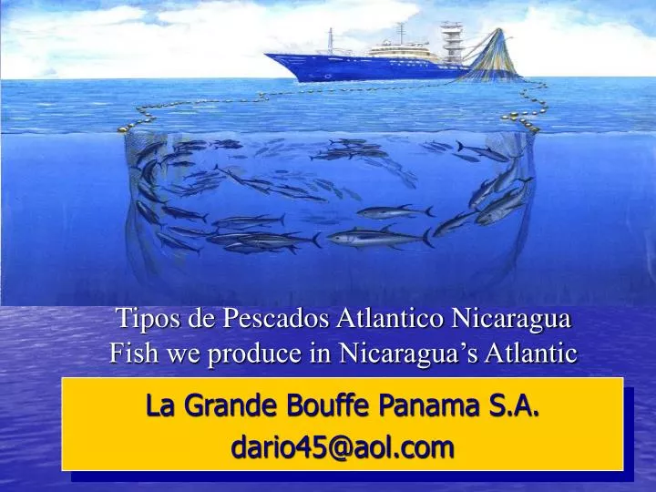 tipos de pescados atlantico nicaragua fish we produce in nicaragua s atlantic