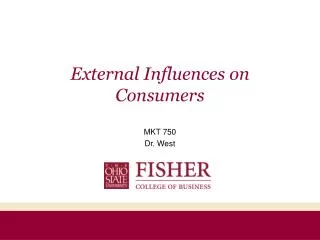 External Influences on Consumers