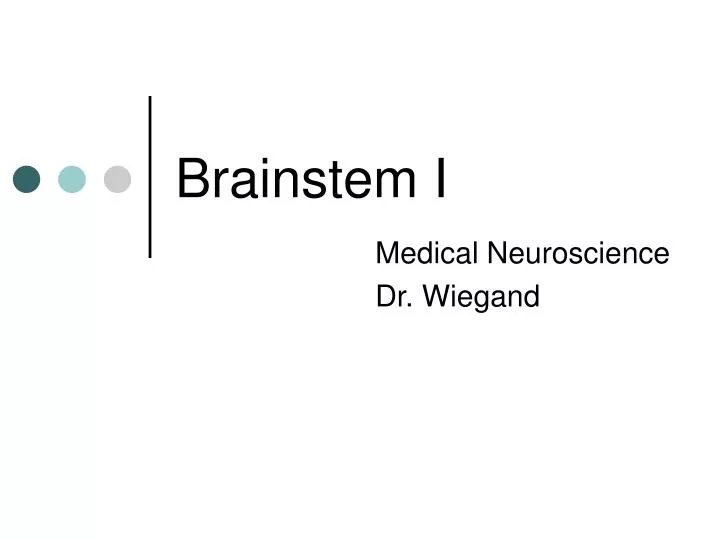 brainstem i