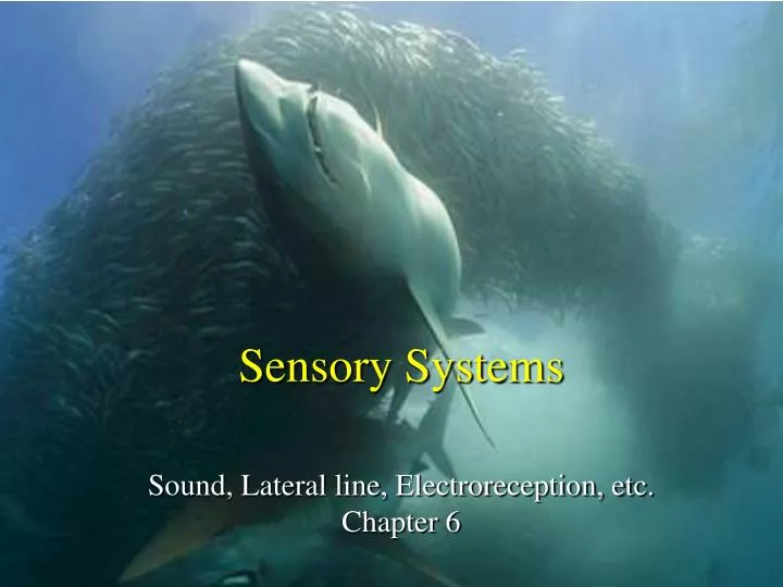 sensory systems sound lateral line electroreception etc chapter 6