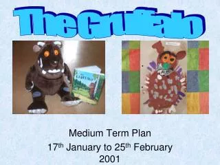 Medium Term Plan 17 th January to 25 th February 2001