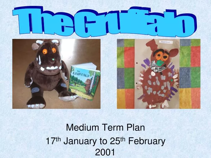 medium term plan 17 th january to 25 th february 2001