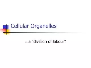 Cellular Organelles