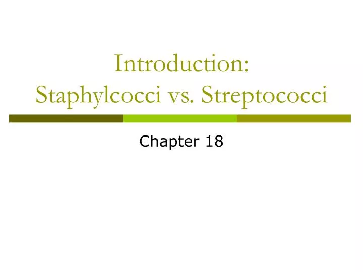 introduction staphylcocci vs streptococci