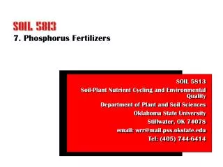 7. Phosphorus Fertilizers