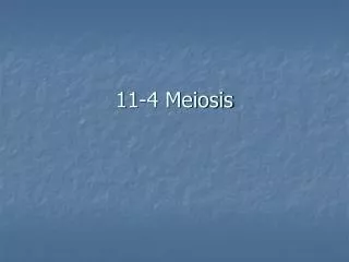 11-4 Meiosis