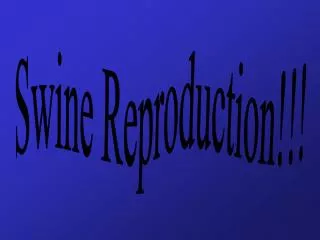 Swine Reproduction!!!