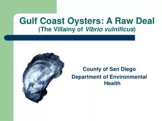 Gulf Coast Oysters: A Raw Deal (The Villainy of Vibrio vulnificus )
