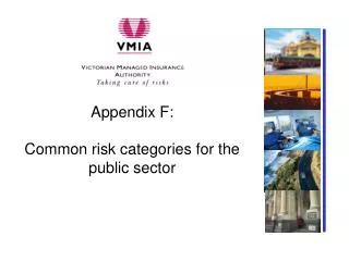 Appendix F: Common risk categories for the public sector