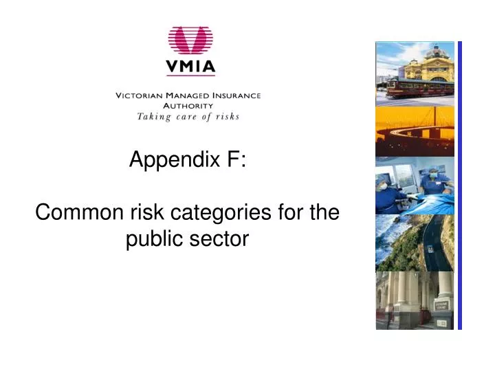 appendix f common risk categories for the public sector
