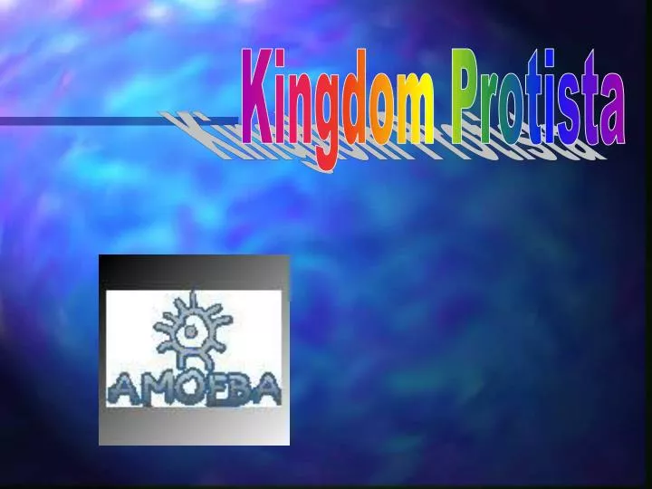 PPT - Kingdom Protista PowerPoint Presentation, Free Download - ID:360576