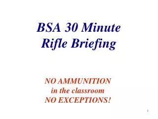 BSA 30 Minute Rifle Briefing
