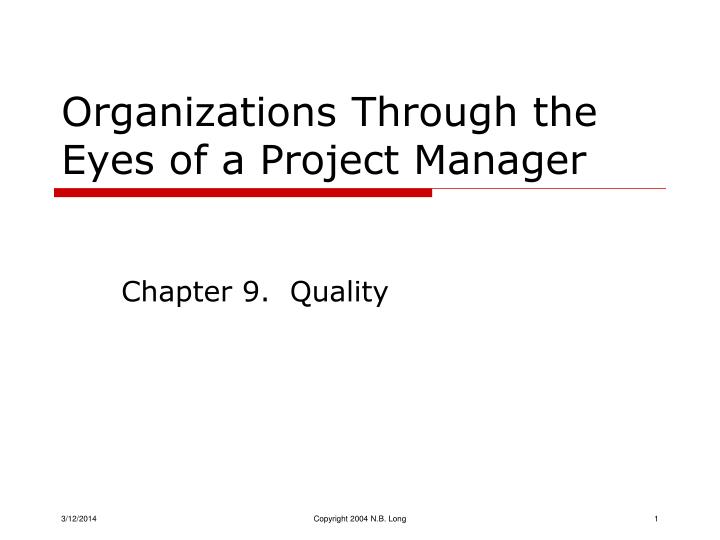 organizations through the eyes of a project manager