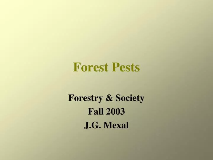 forest pests