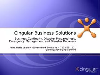 Cingular Business Solutions