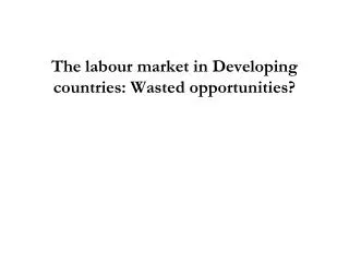 The labour market in Developing countries: Wasted opportunities?
