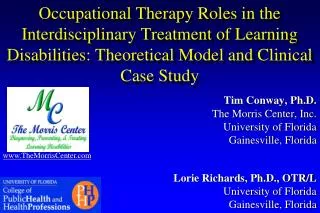 Occupational Therapy Roles in the Interdisciplinary Treatment of Learning Disabilities: Theoretical Model and Clinical C