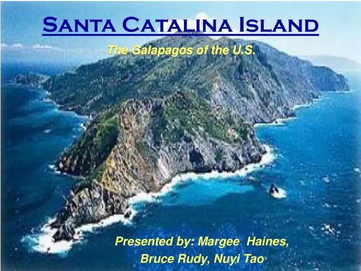 santa catalina island