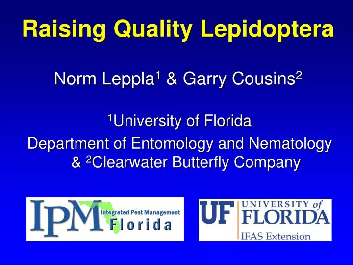 raising quality lepidoptera